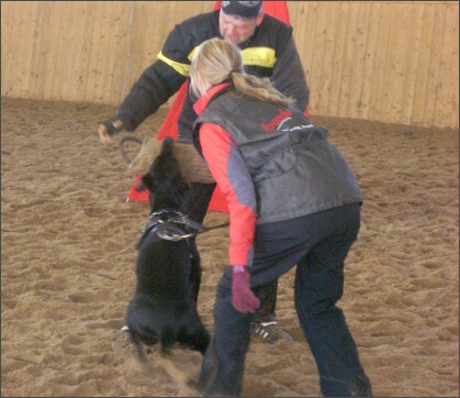 Training in Finland 11/2007